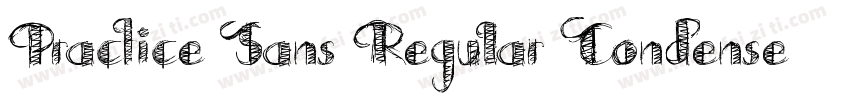 Practice Sans Regular Condensed字体转换
